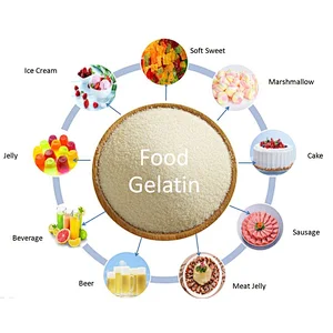Professional Halal Bovine Gelatin Beef with Halal Certificate 220 Bloom